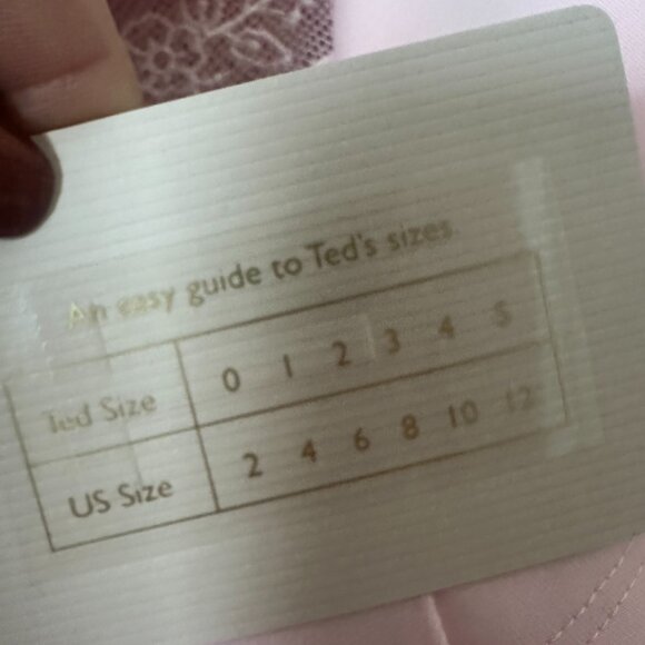 New Ted Baker London Rehanna Embroidered Cap Sleeve Skater Dress pink Size 8 - Picture 7 of 9